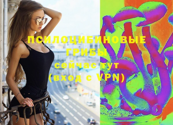 spice Абаза