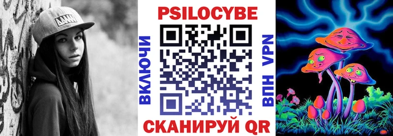 блэк спрут как зайти Чкаловск Галлюциногенные грибы GOLDEN TEACHER