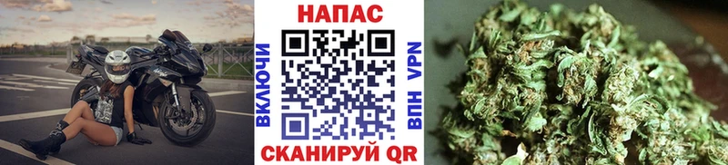 Бошки марихуана план  сколько стоит  Чкаловск 